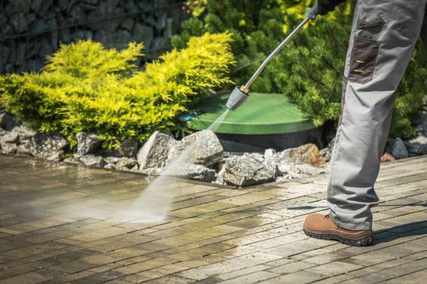 Best Driveway Pressure Washing  in Lincoln Park, NJ