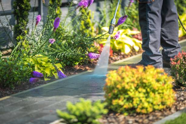 Best Winterizing Services  in Lincoln Park, NJ