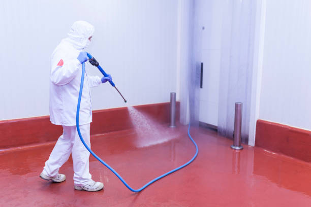 Best Soft Washing  in Lincoln Park, NJ